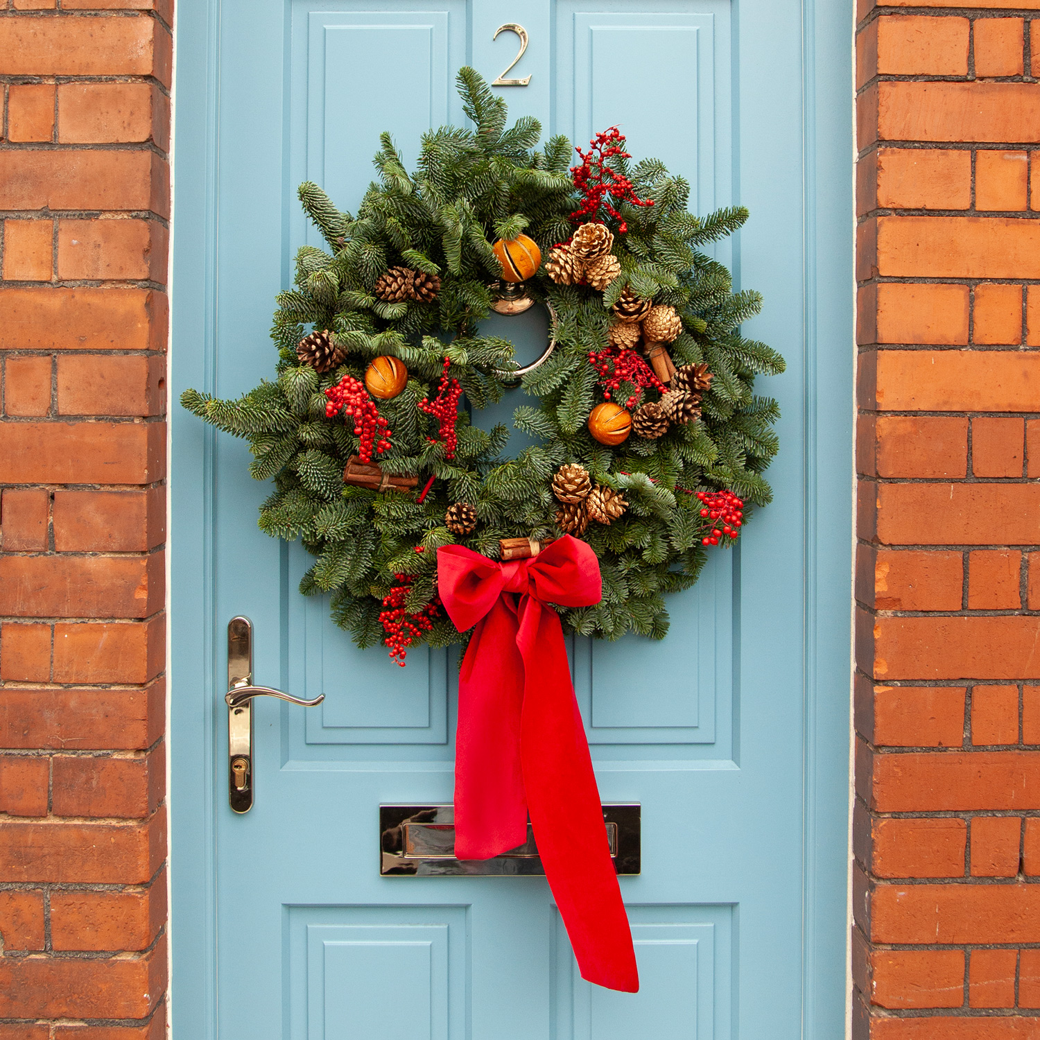 Freddie's Fresh Christmas Wreath