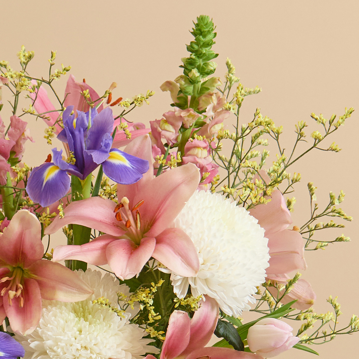 Easter flower bouquet with snapdragons & chrysanthemum | Send flowers online | Cerise Fizz | size: classic, photo 3