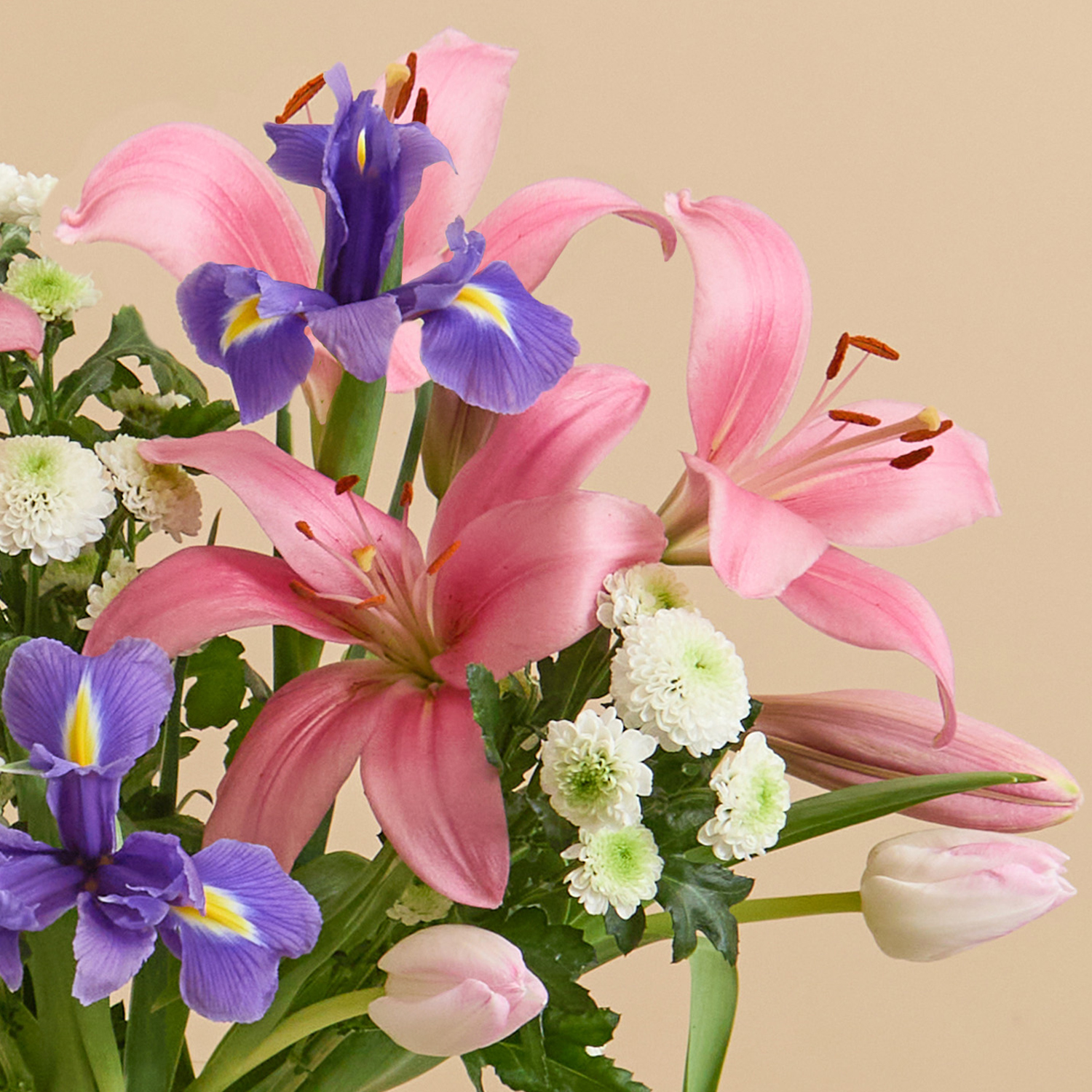 Easter flower bouquet with lilies & irises | Send flowers online | Cerise Fizz | size: letterbox, photo 3