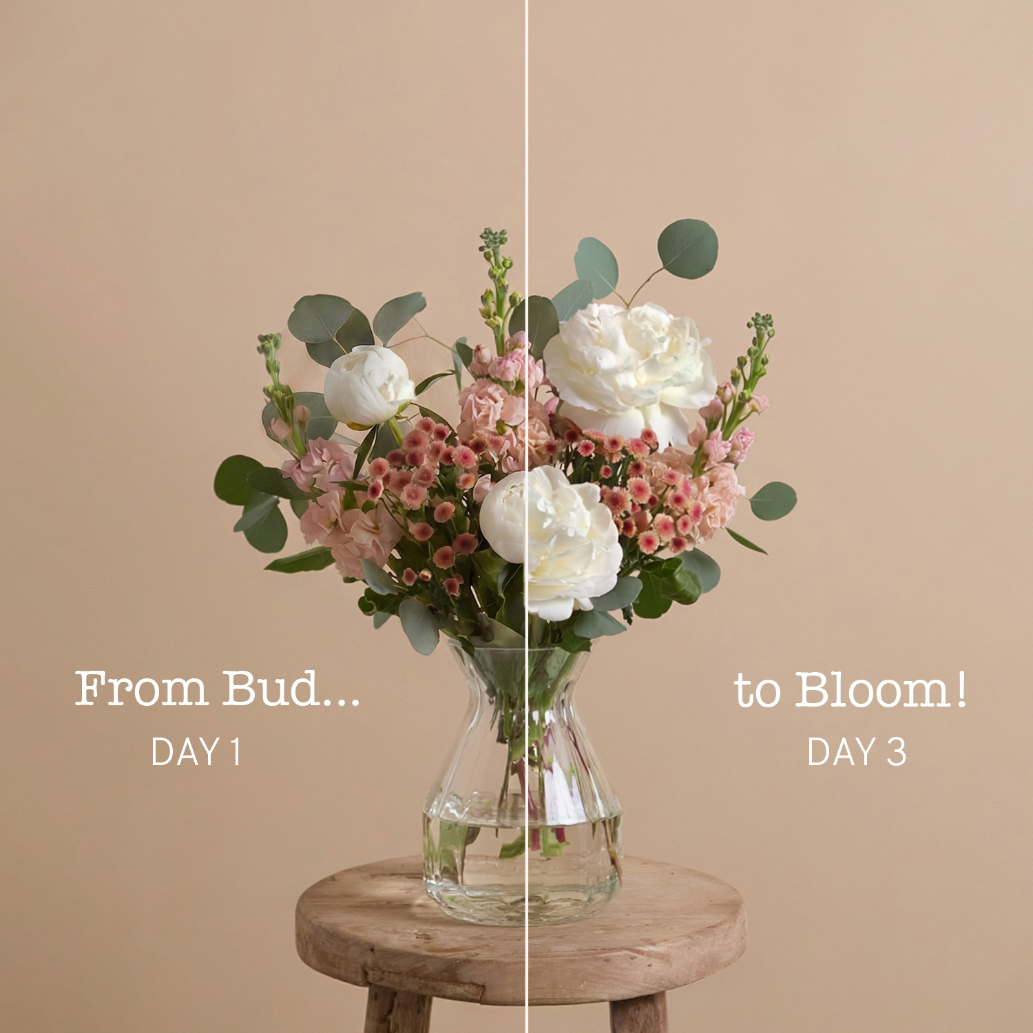 Pastel Palette