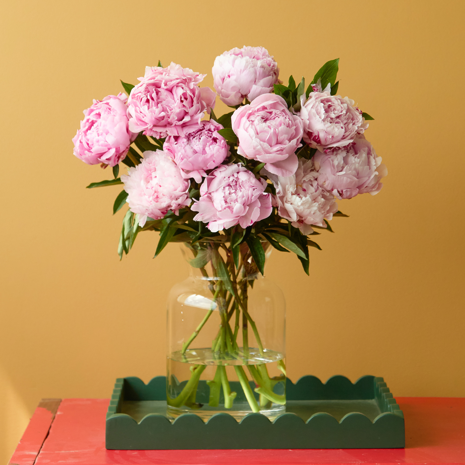 Peony Blush