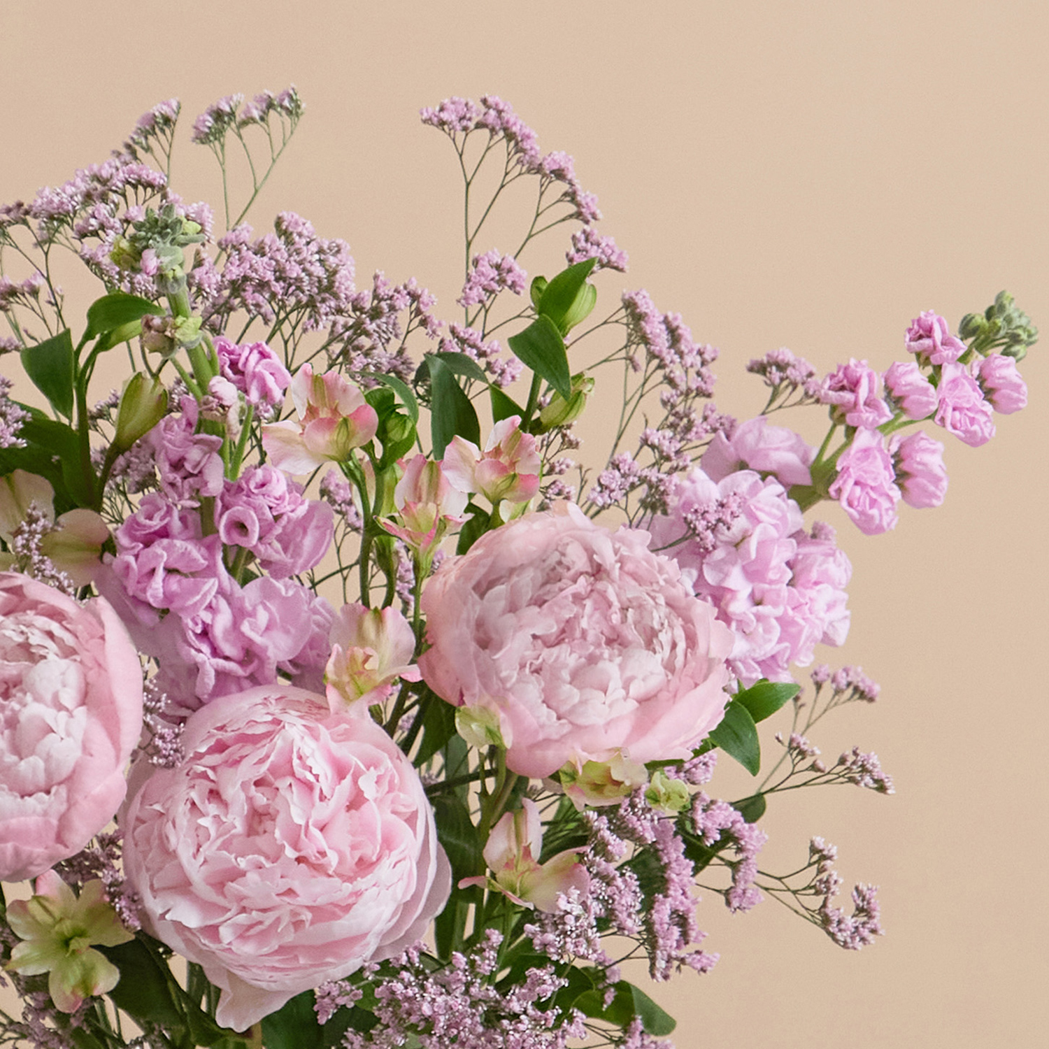 Painterly Pink