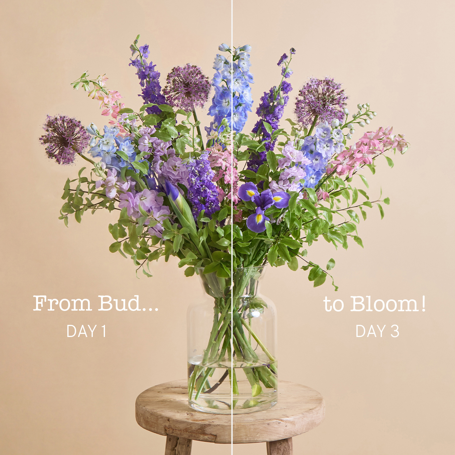 The British Garden Bunch