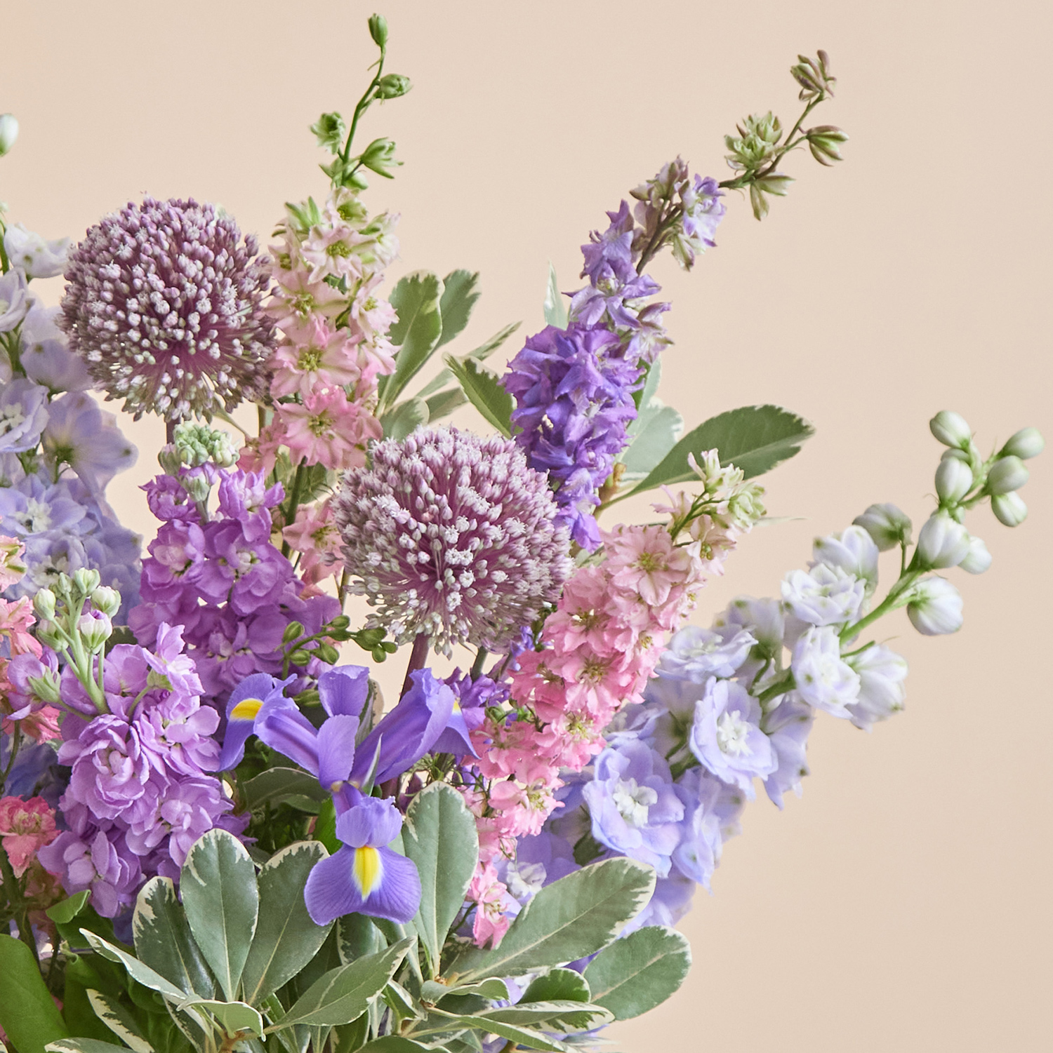 The British Garden Bunch