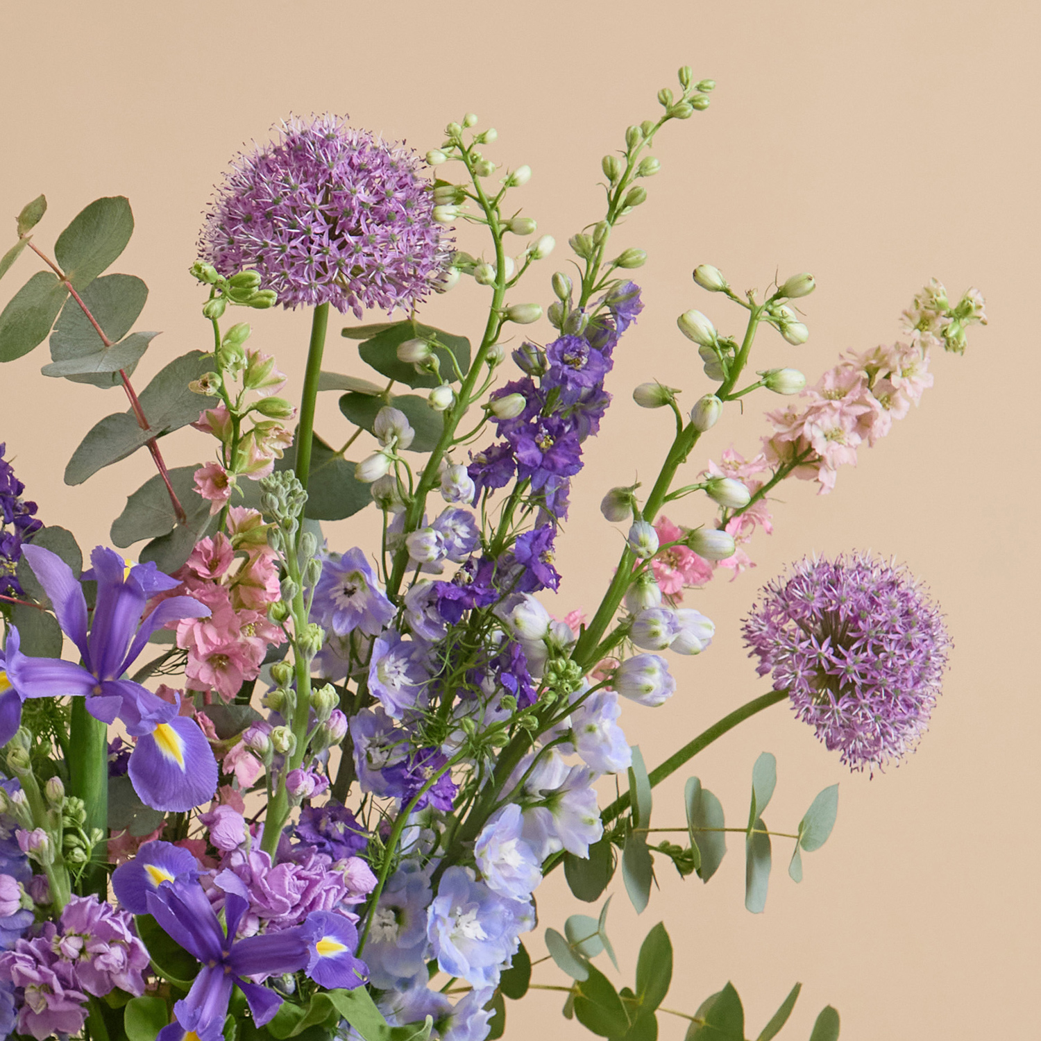 The British Garden Bunch