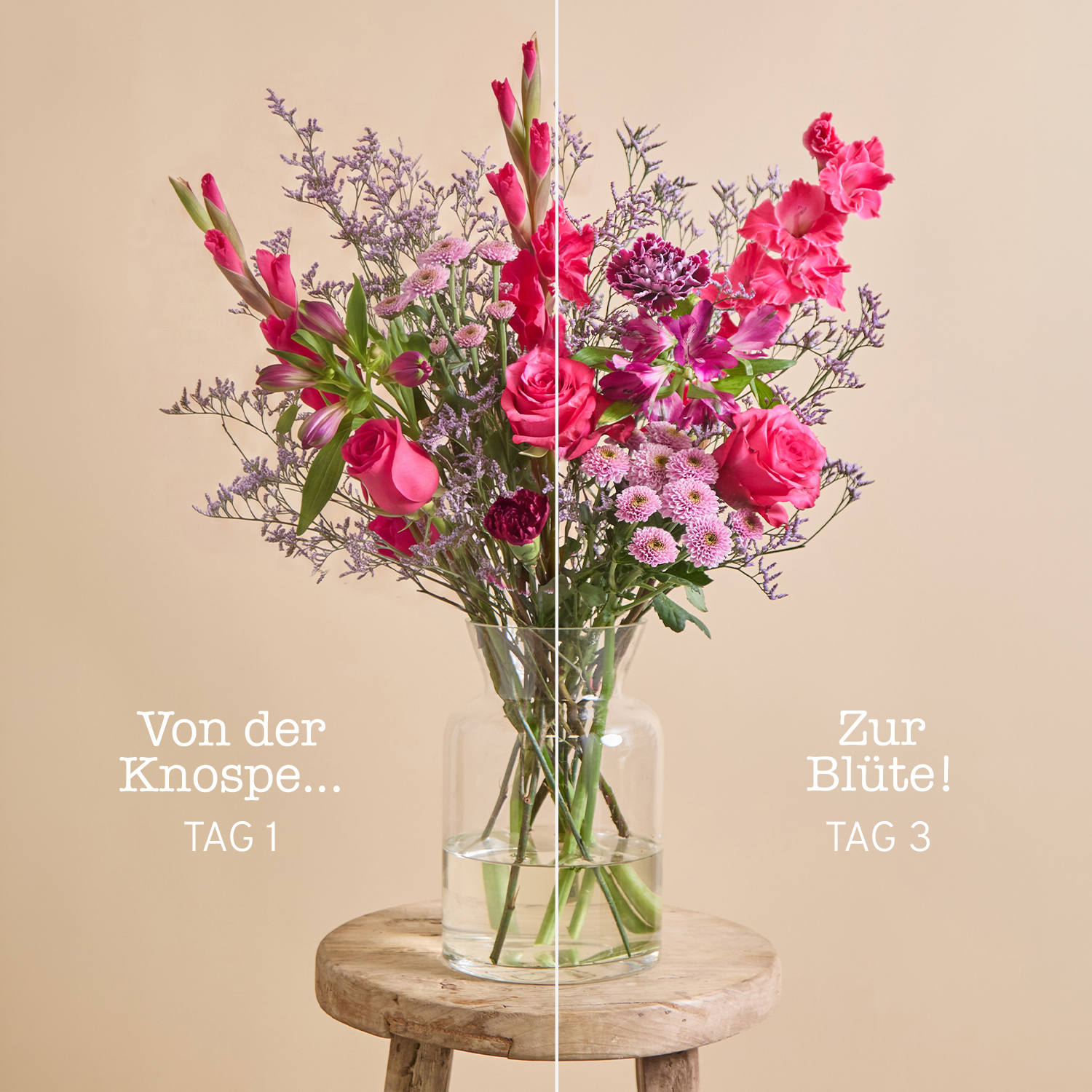 Sommerbeeren