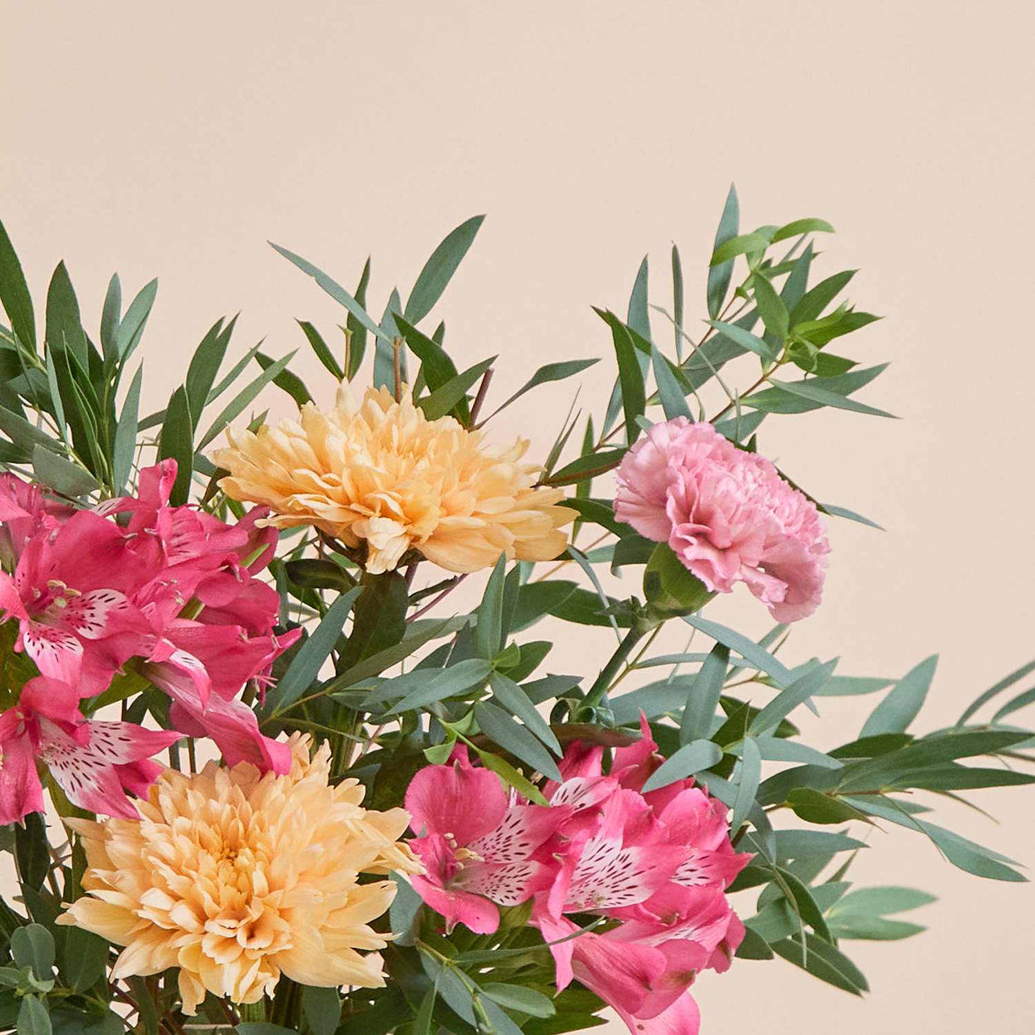 Birthday Flower bouquet with chrysanthemums & carnations | Send flowers online | Autumn Bounty | size: letterbox, photo 3