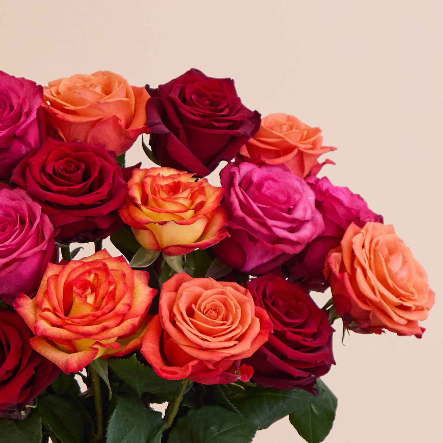 Thank You Flower bouquet with roses | Send flowers online | Velvet Dusk Roses | size: classic, photo 3