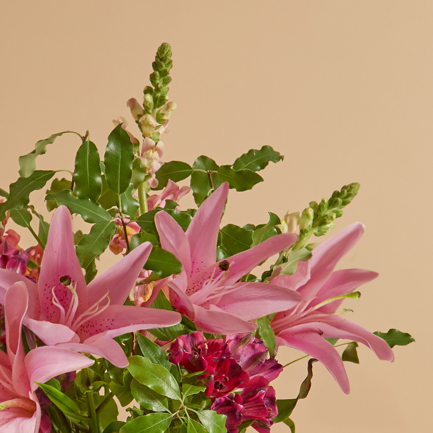 Rhubarb Ribbons