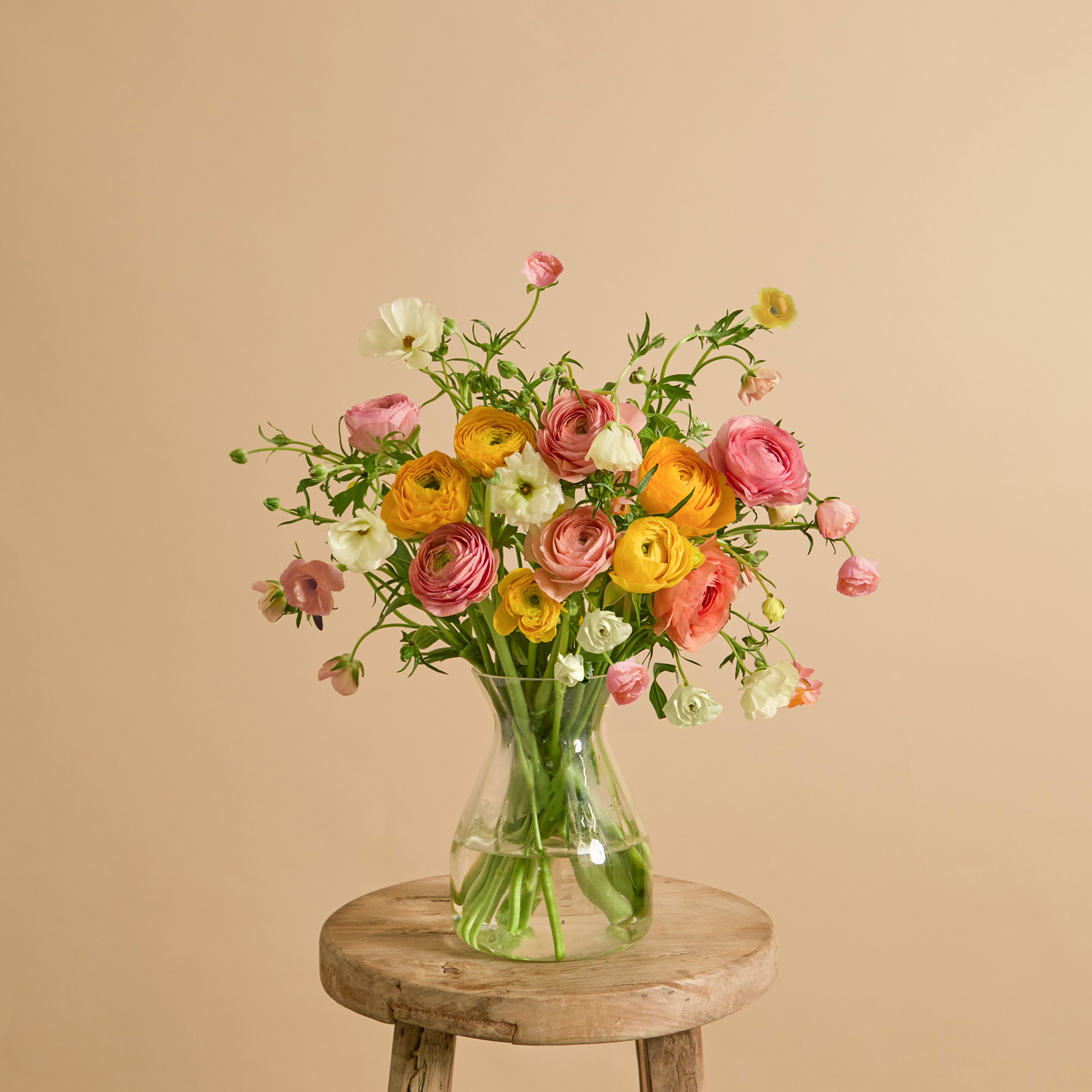 Ranunculus Burst