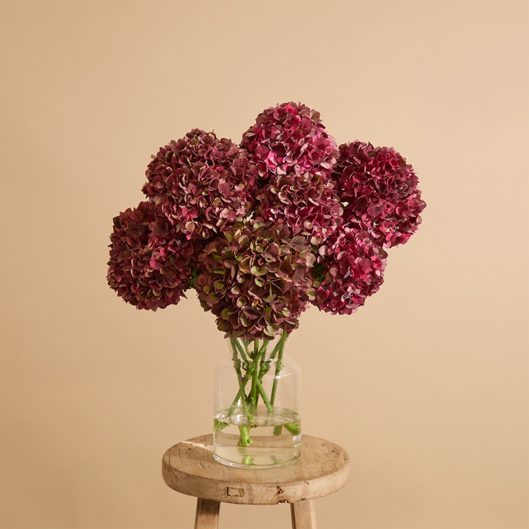 Christmas flower bouquet with deep wine-red hydrangeas | Send flowers online | All The Hydrangeas image