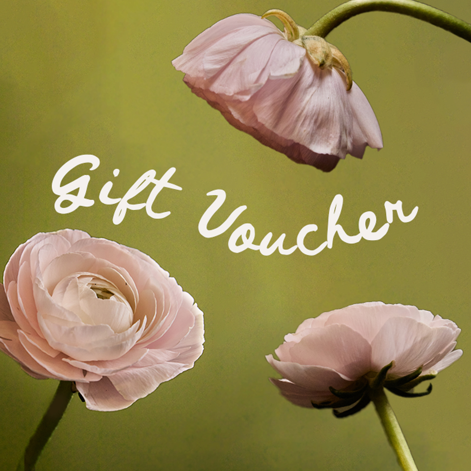 Gift voucher